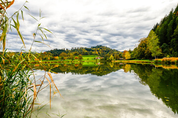 Poplar forest lake near Berghaupten in the Black Forest. Idyllic autumn landscape by the lake....