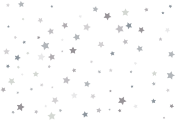 Bouquet of Silver Stars