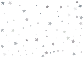 Bouquet of Silver Stars