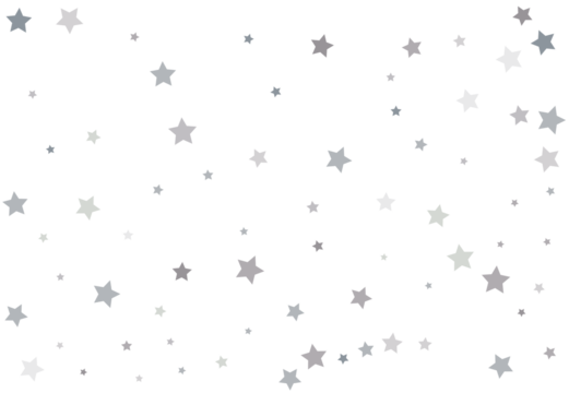 Bouquet of Silver Stars