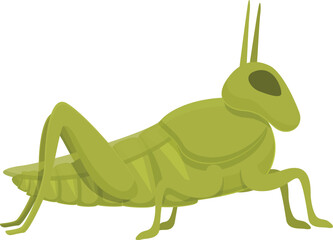Color grasshopper icon cartoon vector. Nature insect. Creature natural