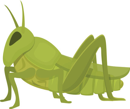 Pest grasshopper icon cartoon vector. Fly ant insect. Character green