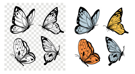Butterflies set,  hand drawn vector illustration, sketch, black outline, engraving style - obrazy, fototapety, plakaty