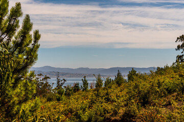 Flora en las Islas C&iacute;es, Galicia.