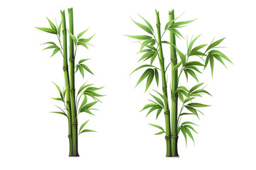 Fototapeta na wymiar Green bamboo stems with leaves Branches of bamboo isolated on transparent background Generative Ai