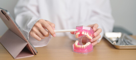Dentist with tooth Anatomy model. Oral Teeth and disease, Scrape off tartar. March Oral health, Dentist Day, False Teeth. Toothache and Children Dental Health Month and Orthodontic Health Day