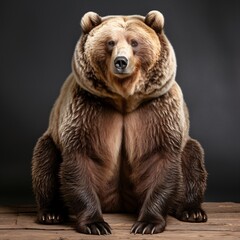 a large bear sitting on a wood surface