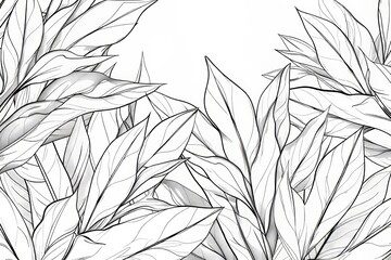 A tropical leaves background . An abstract botanical design, a hand-drawn flower in a minimalist and line-art contour style. Perfect for fabrics, prints, covers, banners, decorations, and