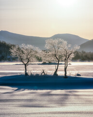 福島県北塩原村　檜原湖　冬の朝