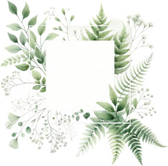 Green Fern and Foliage Frame with Blank Space isolated on solid white background : overlay texture with copy space - obrazy, fototapety, plakaty