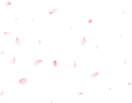 Falling Cherrty Petals