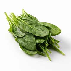 a bunch of spinach leaves