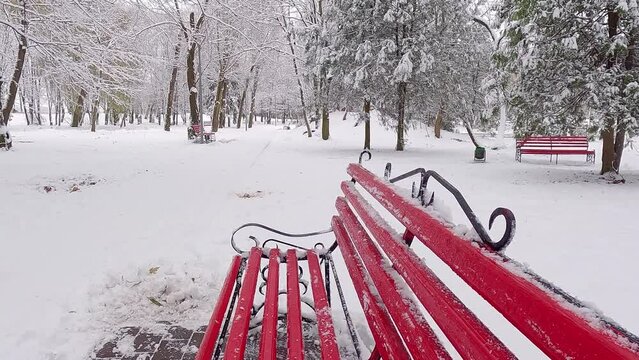 Red Red bench in the snowy city park. Cold winter scene of Topilce park, Ternopil, Ukraine. Fresh snow covered alley and trees in botanical garden. 4K video (Ultra High Definition)..