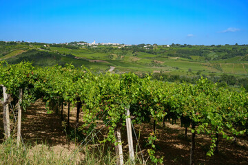 Fototapeta na wymiar Country landscape near Lanciano, Abruzzo, Italy