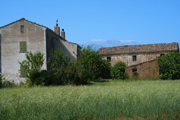 Country landscape near Orsogna and Bucchianico, Abruzzo, Italy