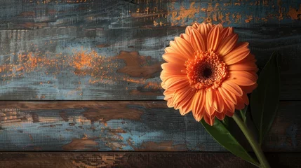 Poster Gerbera daisy flower greeting card background for mother or womans day. Rustic style. © Lubos Chlubny