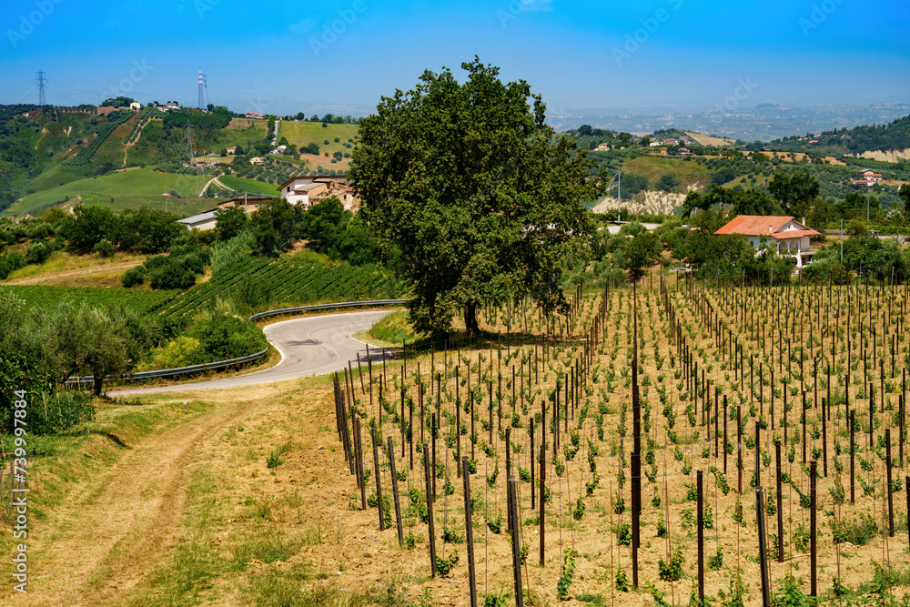 Wall mural Country landscape near Orsogna and Bucchianico, Abruzzo, Italy