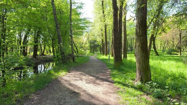 Promenade on the shore of Seret river. Fresh green view of Topilche Park with empty alley, Ternopil, Ukraine. Beauty of nature concept background. 4K video (Ultra High Definition).