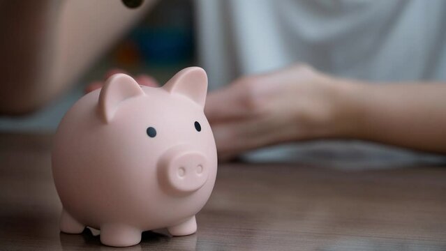 A young woman saves money in a piggy bank for savings. Concept of financial literacy, banking security, pension.