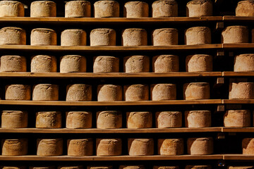 The Castelmagno is the King of Cheeses. This picture comes from the caves of one of the highest...