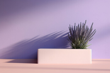 Lavender Dream, 3D Podium Bathed in Morning Light, Perfect for Your Floral Display
