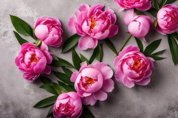 Obraz premium Pink Peony Blooms on Concrete Surface
