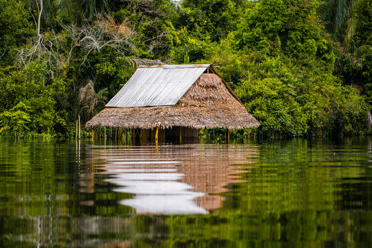 CRECIENTE DE LOS R&Iacute;OS EN LA SELVA, AGUA ALCANZANDO HASTA LAS VIVIENDAS DE LOS POBLADORES AMAONICOS.