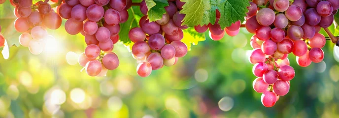 Zelfklevend Fotobehang grapes, harvest, fruit, agriculture, nature, wine, ripe, vine, winery © Toey Meaong
