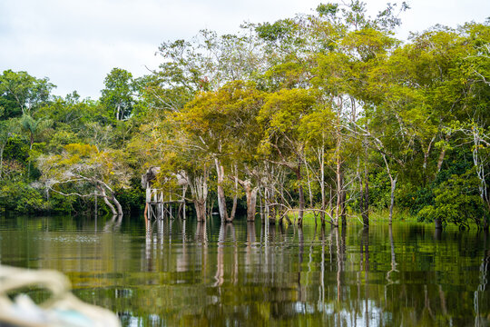 CRECIENTE DE LOS R&Iacute;OS EN LA SELVA, AGUA ALCANZANDO HASTA LAS VIVIENDAS DE LOS POBLADORES AMAONICOS.