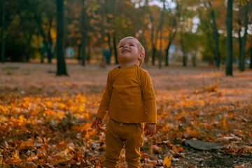 Little boy playing in the park in autumn falling leaves, happy child running in the park