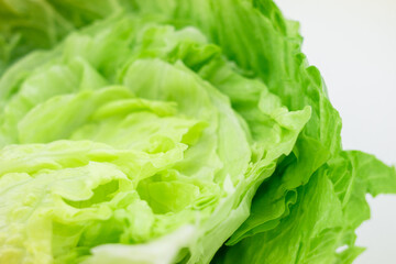 レタスのクローズアップ