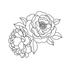 Peony Flowers Bunch Linear Drawing - 740007817