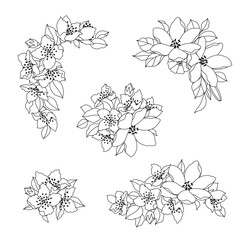 Floral Bunches Set Linear Drawing - 740008807