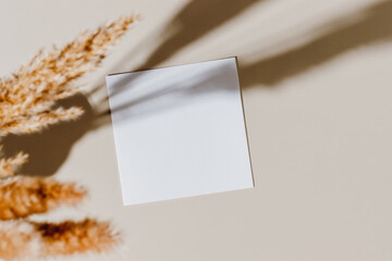 Empty mockup paper card with beautiful sunlight shadows, neutral aesthetic style, brown tone. Paper...