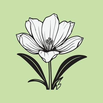 Hand Drawn Flat Design Simple Flower Outline Vector