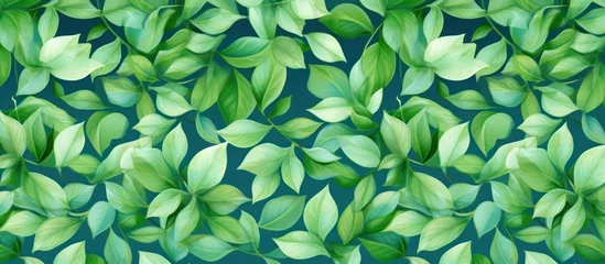 Poster abstract leaf painting background Fresh foliage of a large ornamental hosta bush © Muhammad