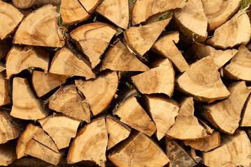 Pile of wood. Closeup freshly cut wood logs stacked in the forest. Firewood, environmental damage, ecological issues, deforestation, alternative energy, lumber industry, business