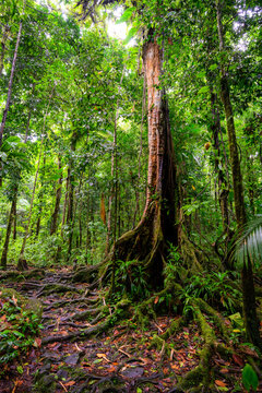 Sentier de la Maison de la for&ecirc;t