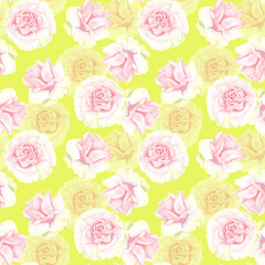Pastel watercolor pink and white roses seamless pattern . Hand drawn illustration of flowers isolated on white background. Cu.