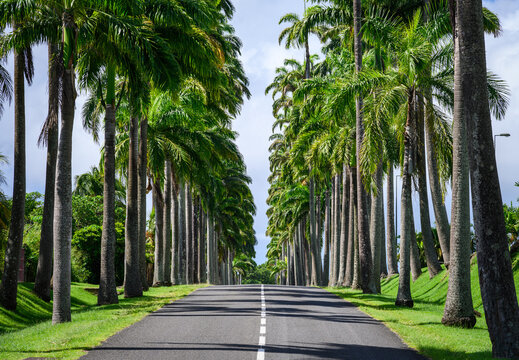 All&eacute;e Dumanoir 