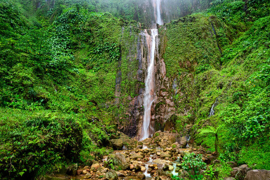  Premi&egrave;re chute du Carbet