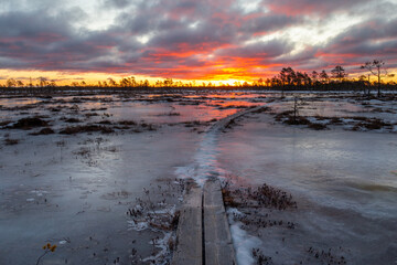 sunrise at the bog