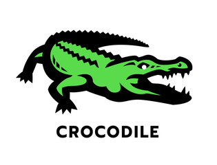 Crocodile, Aligator Logo.