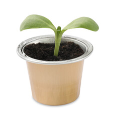 Green seedling growing in coffee capsule isolated on white