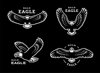 A set of bald eagles on a dark background.