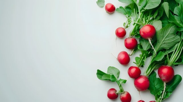 Bunch of ripe radish with green leaves isolated on white background, top view, copy space