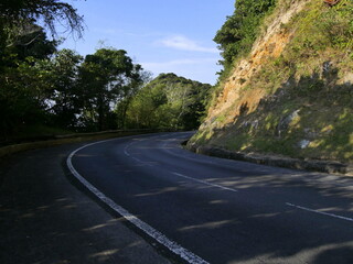 asphalt road in jungle, route de la traversee, guadeloupe