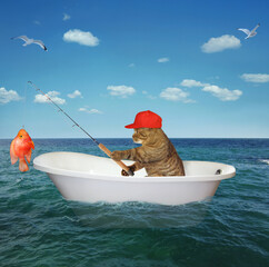 Cat fisher drifts in bathtub in sea - 740040485