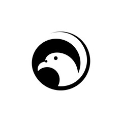 black and white head bird