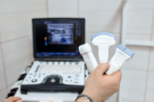 Close-up of ultrasound diagnostic probe. A doctor's hands hold a transducer for diagnosing internal organs using modern ultrasound technology, including elastography and sonography.
